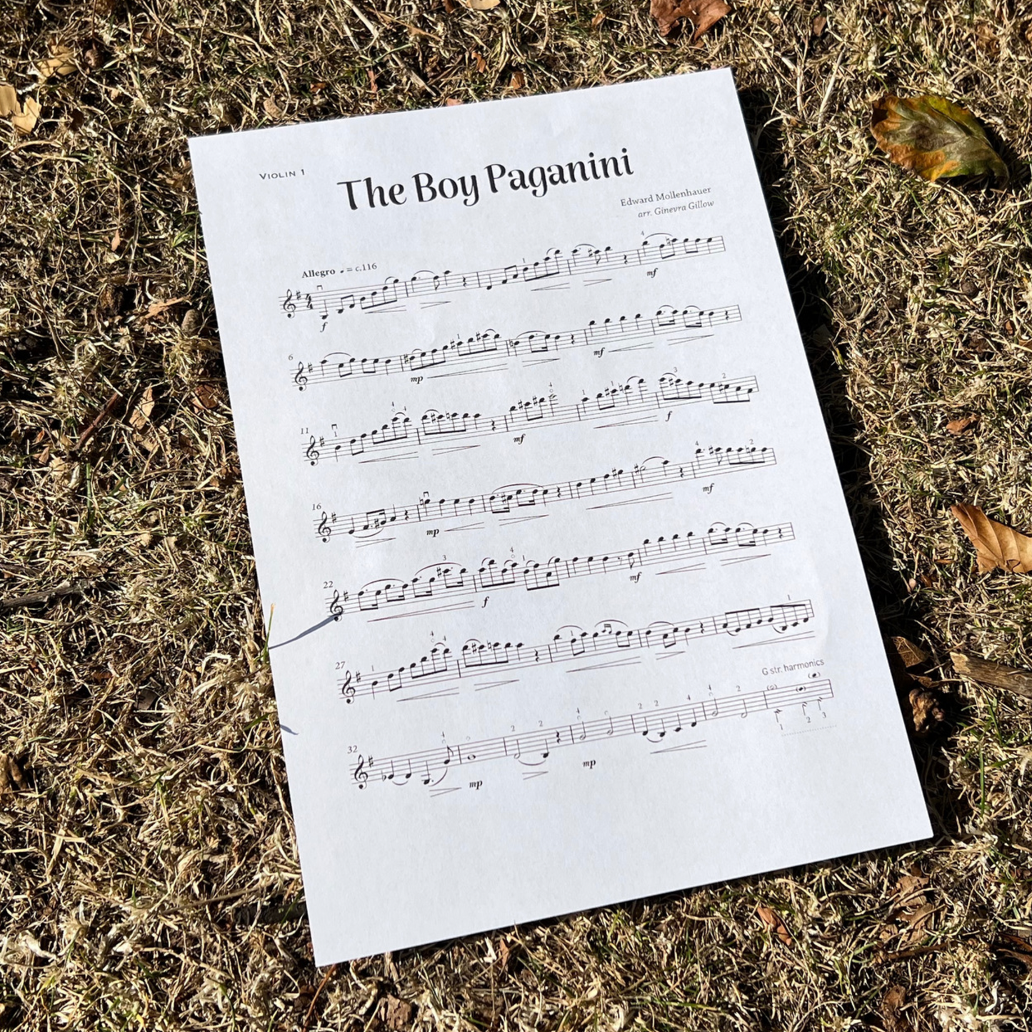 The Boy Paganini