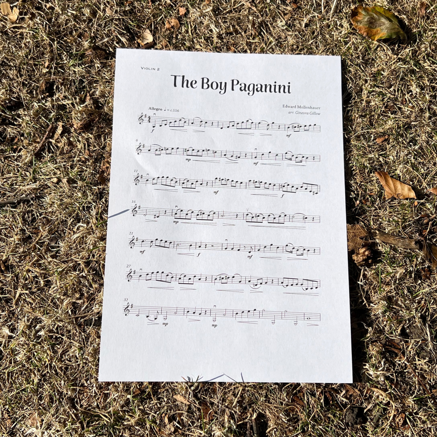 The Boy Paganini