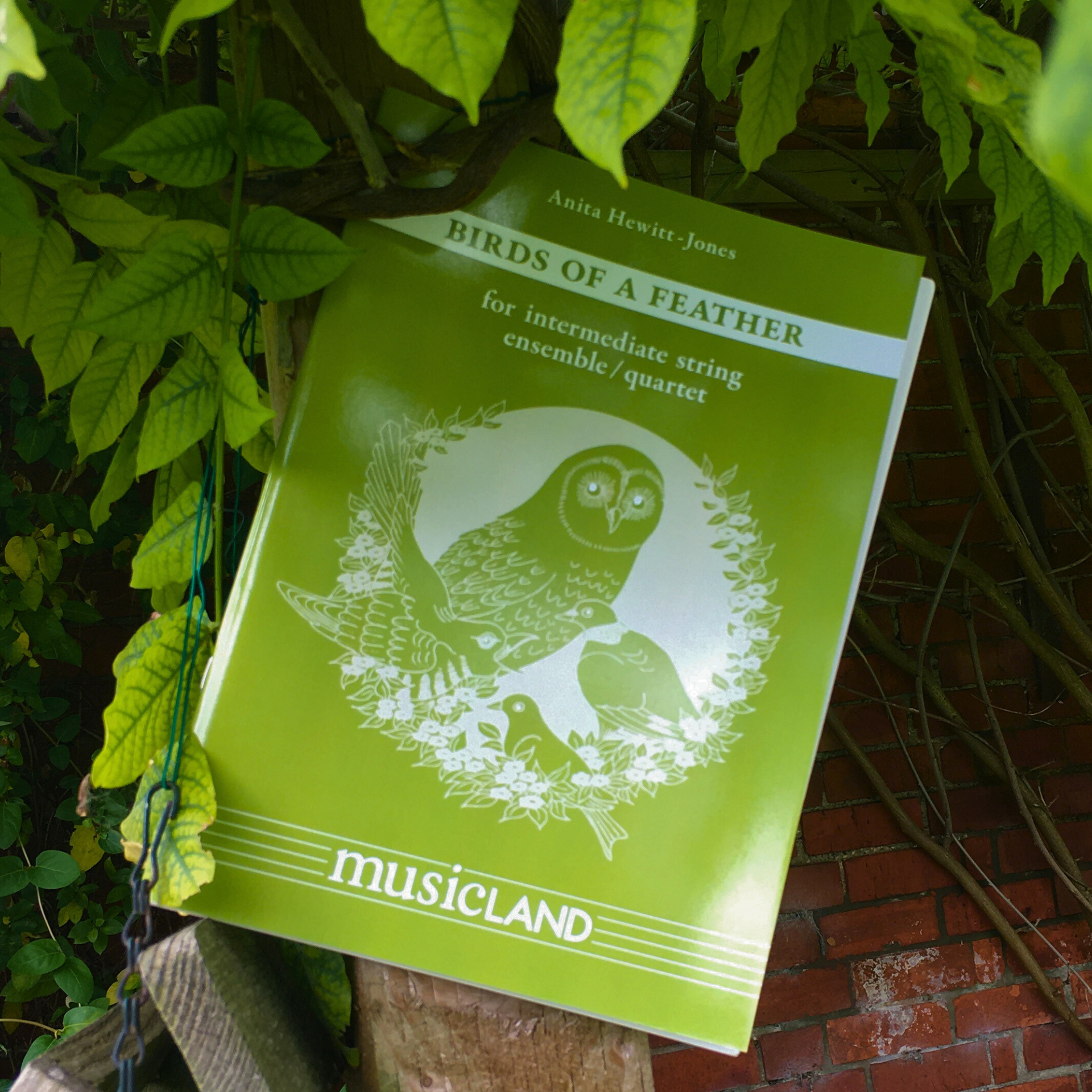 Birds of a Feather – MusicLand