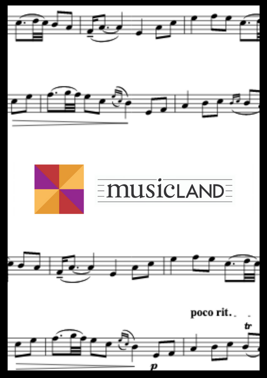 Musicland Rhythm Cards - Set 5